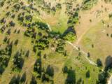 TBD County Road 186 - Photo 9