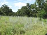 Lot 9 Ph 4 Pr 4212 - Photo 4