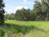 Lot 12 Ph 4 Pr 4212 - Photo 11