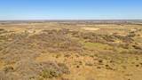 TBD County Road 406 - Photo 25