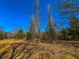 Tract 1 County Road 1713 - Photo 13