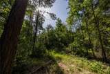 Tract 2 County Road 1713 - Photo 16