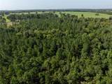 Tract 2 County Road 1713 - Photo 19