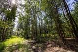 Tract 3 County Road 1713 - Photo 11
