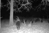 730 Us Hwy 84 - Photo 32