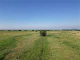 TBD Us Hwy 84 - Photo 11