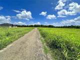 Lot 4 Oasis Drive - Photo 6