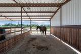 9815 County Road 401 - Photo 23