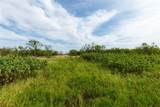 8033 County Road 415 - Photo 11