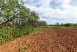 8033 County Road 415 - Photo 21
