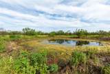 8033 County Road 415 - Photo 26