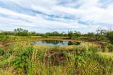 8033 County Road 415 - Photo 7