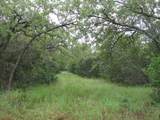 TBD Pr 1002 - Photo 20