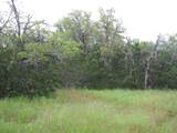 TBD Pr 1002 - Photo 32