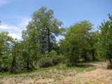 TBD County Road 404 - Photo 12