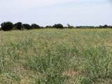 TBD County Road 404 - Photo 14