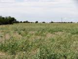 TBD County Road 404 - Photo 17