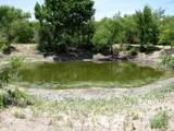 TBD County Road 404 - Photo 2