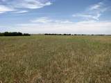 TBD County Road 404 - Photo 20