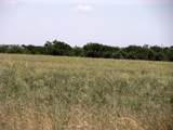 TBD County Road 404 - Photo 23