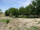 TBD County Road 404 - Photo 4