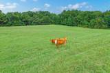 100 (+/-) Acres Fm 773 - Photo 9