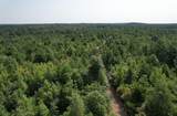TBD County Road 3163 - Photo 10