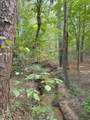 TBD County Road 3163 - Photo 2