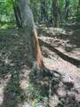 TBD County Road 3163 - Photo 31