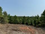 TBD County Road 3163 - Photo 36