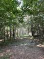 TBD County Road 168-1 - Photo 21