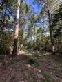 TBD County Road 168-1 - Photo 23