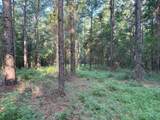 TBD County Road 168-1 - Photo 31