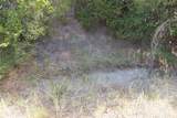TBD Bear Ridge Road - Photo 10