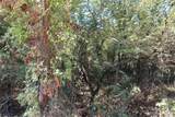 TBD Bear Ridge Road - Photo 14