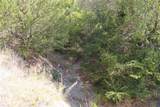 TBD Bear Ridge Road - Photo 9