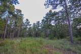 Tract 2 Hwy 155 - Photo 11