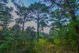 Tract 2 Hwy 155 - Photo 7