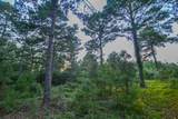 Tract 3 Hwy 155 - Photo 15