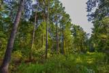 Tract 3 Hwy 155 - Photo 16