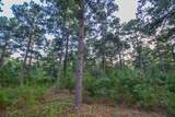 Tract 3 Hwy 155 - Photo 22
