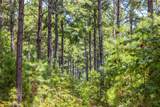 Tract 5 Hwy 155 - Photo 10