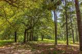 Tract 5 Hwy 155 - Photo 11