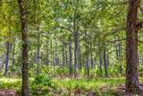 Tract 5 Hwy 155 - Photo 12