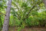 Tract 5 Hwy 155 - Photo 15