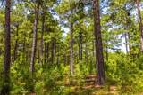Tract 5 Hwy 155 - Photo 18