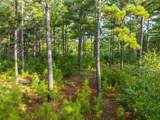 Tract 6 Hwy 155 - Photo 13