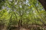 Tract 6 Hwy 155 - Photo 16