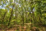 Tract 6 Hwy 155 - Photo 19