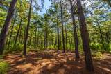 Tract 6 Hwy 155 - Photo 2